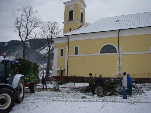 Výrub stromov pri kostole