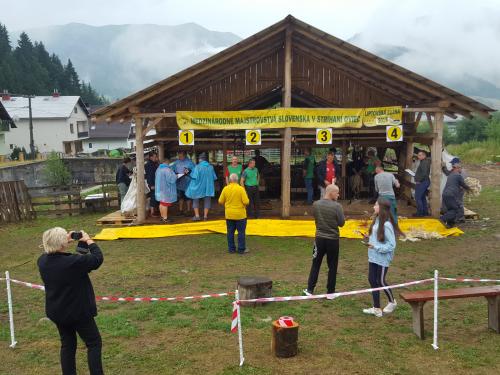 MS v strihaní oviec